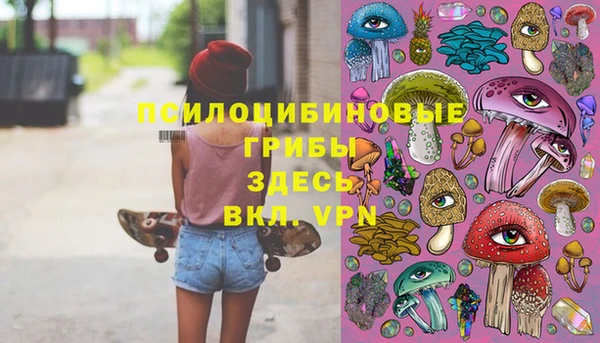 гидра Абдулино