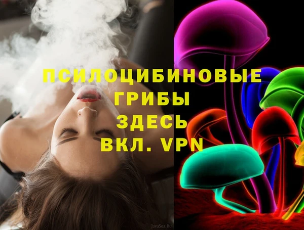 спиды Алзамай