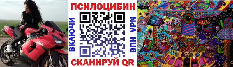 купить наркотики сайты  Зуевка  МЕГА ССЫЛКА  Псилоцибиновые грибы Psilocybe 